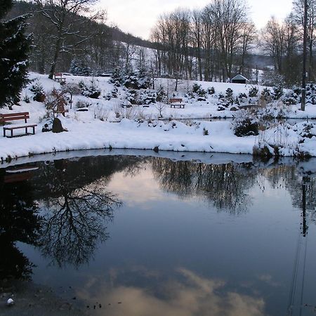 Penzion Svet Sobotin Экстерьер фото